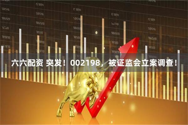 六六配资 突发！002198，被证监会立案调查！