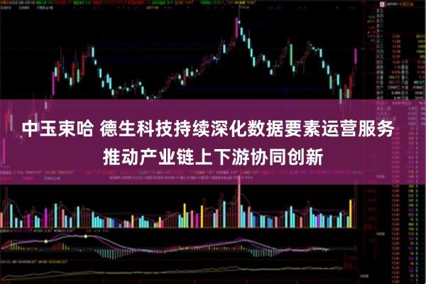 中玉束哈 德生科技持续深化数据要素运营服务  推动产业链上下游协同创新