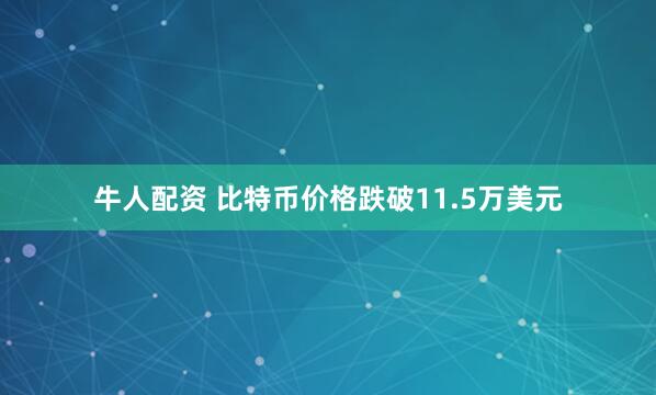 牛人配资 比特币价格跌破11.5万美元