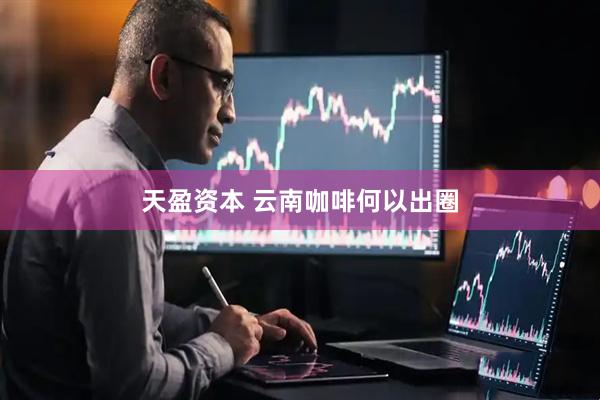 天盈资本 云南咖啡何以出圈