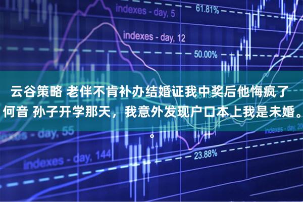 云谷策略 老伴不肯补办结婚证我中奖后他悔疯了 何音 孙子开学那天，我意外发现户口本上我是未婚。