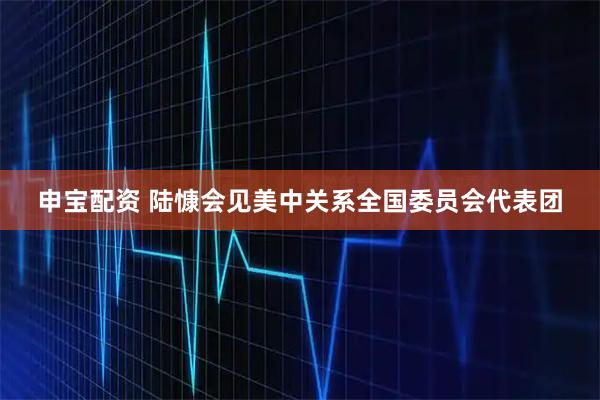 申宝配资 陆慷会见美中关系全国委员会代表团