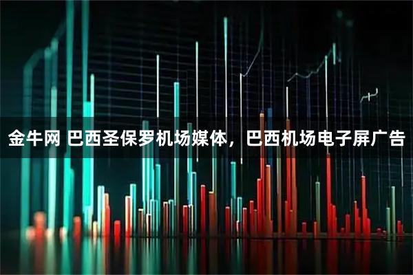 金牛网 巴西圣保罗机场媒体，巴西机场电子屏广告