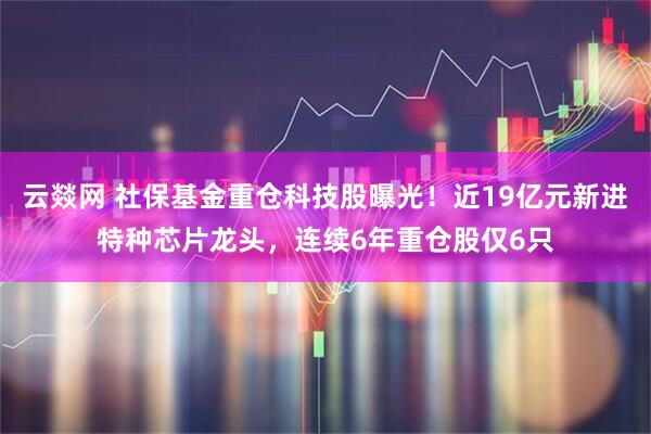 云燚网 社保基金重仓科技股曝光！近19亿元新进特种芯片龙头，连续6年重仓股仅6只